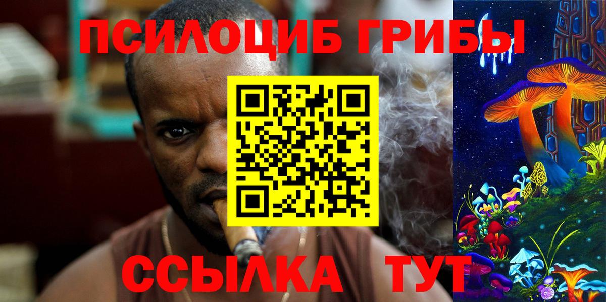 Галлюциногенные грибы мицелий Брянск